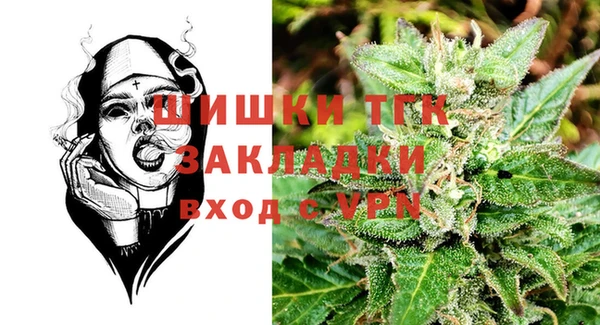 прущие грибы Алзамай