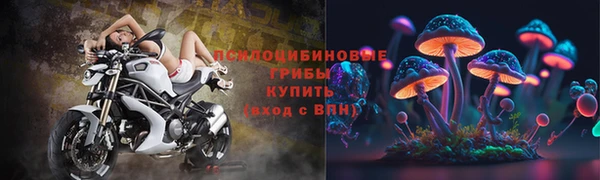 стаф Балахна