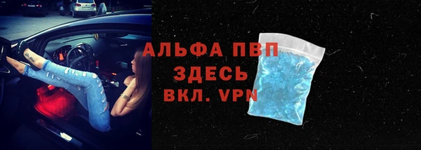 стаф Балахна