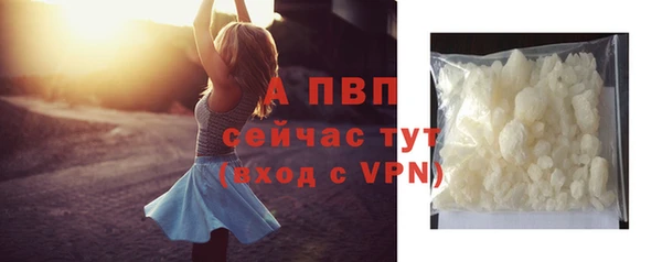 стаф Балахна