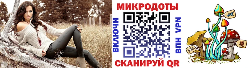 Псилоцибиновые грибы Cubensis  Купить где  Светлоград 